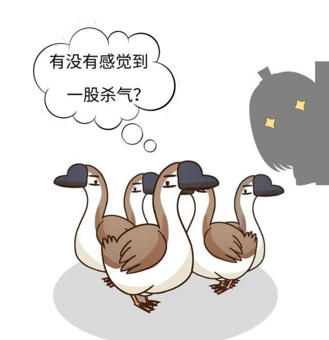 郑贷，使用信用卡影响买房贷款吗？