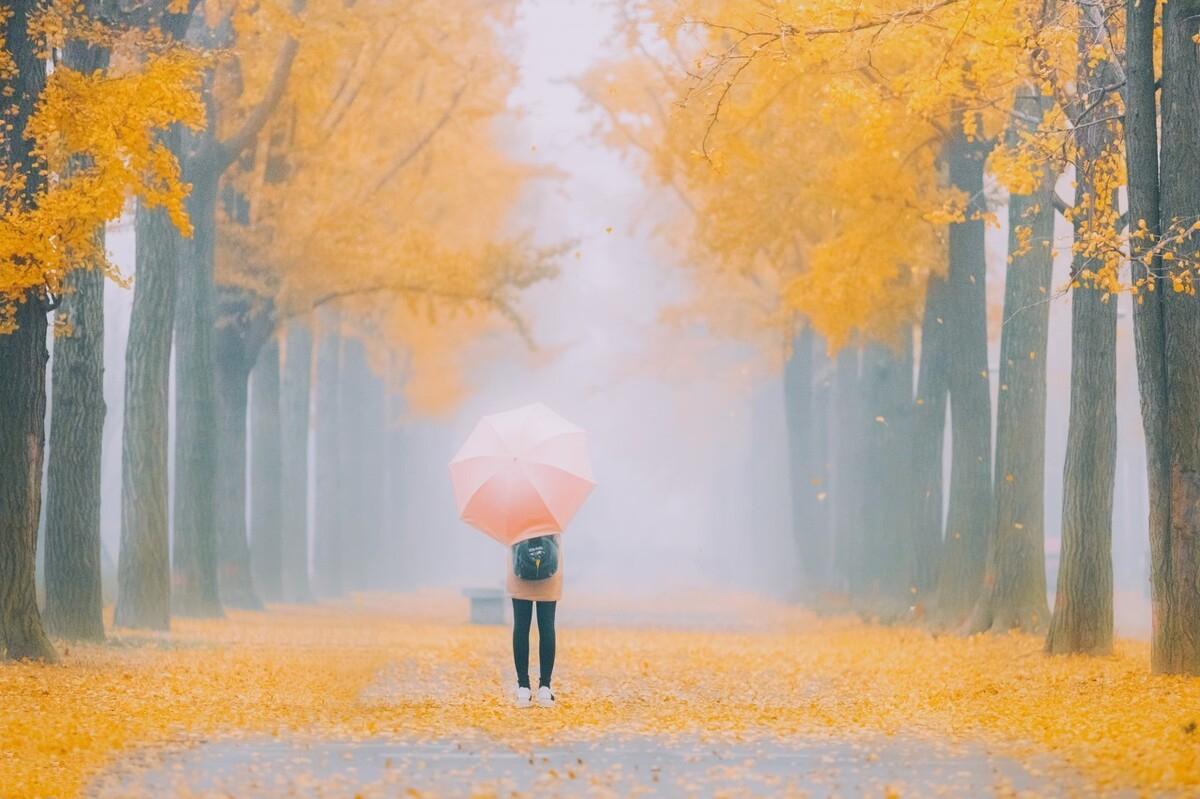 赏读：人间最美的风景，是我心依然