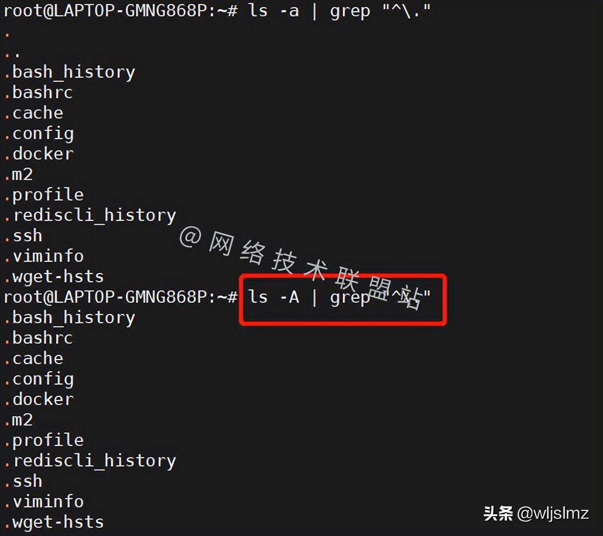 想要在Linux中只显示隐藏文件，用对ls就可以实现