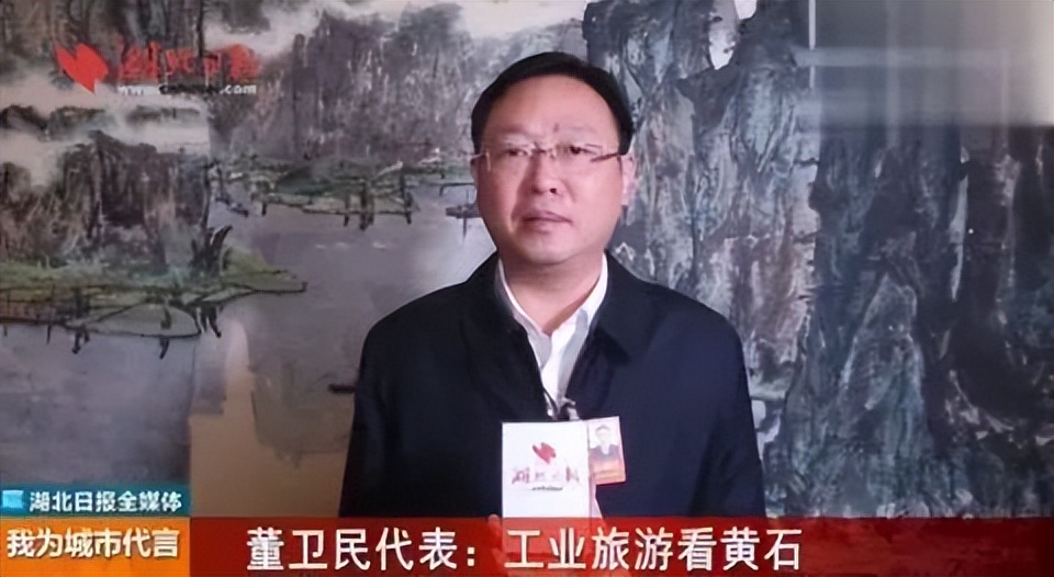 湖北国土资源厅,湖北国土资源厅厅长张猛