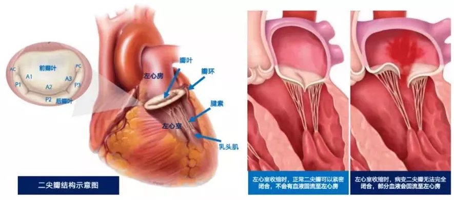25亿!亚洲最大心脏专科医院之一再融资