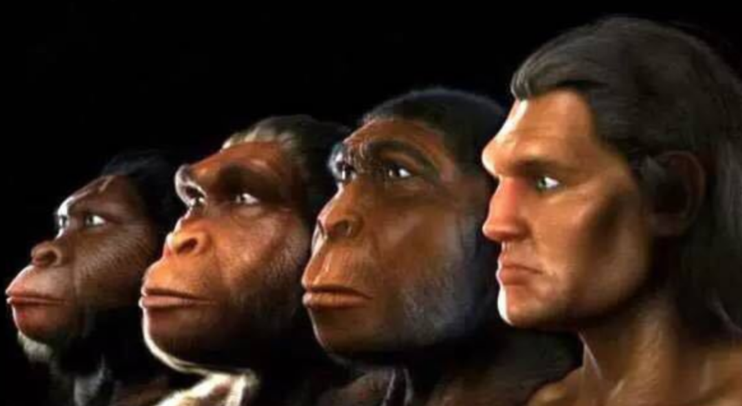 226,000年前，谁留在谁留在Aomi西藏西藏帕萨的小组？