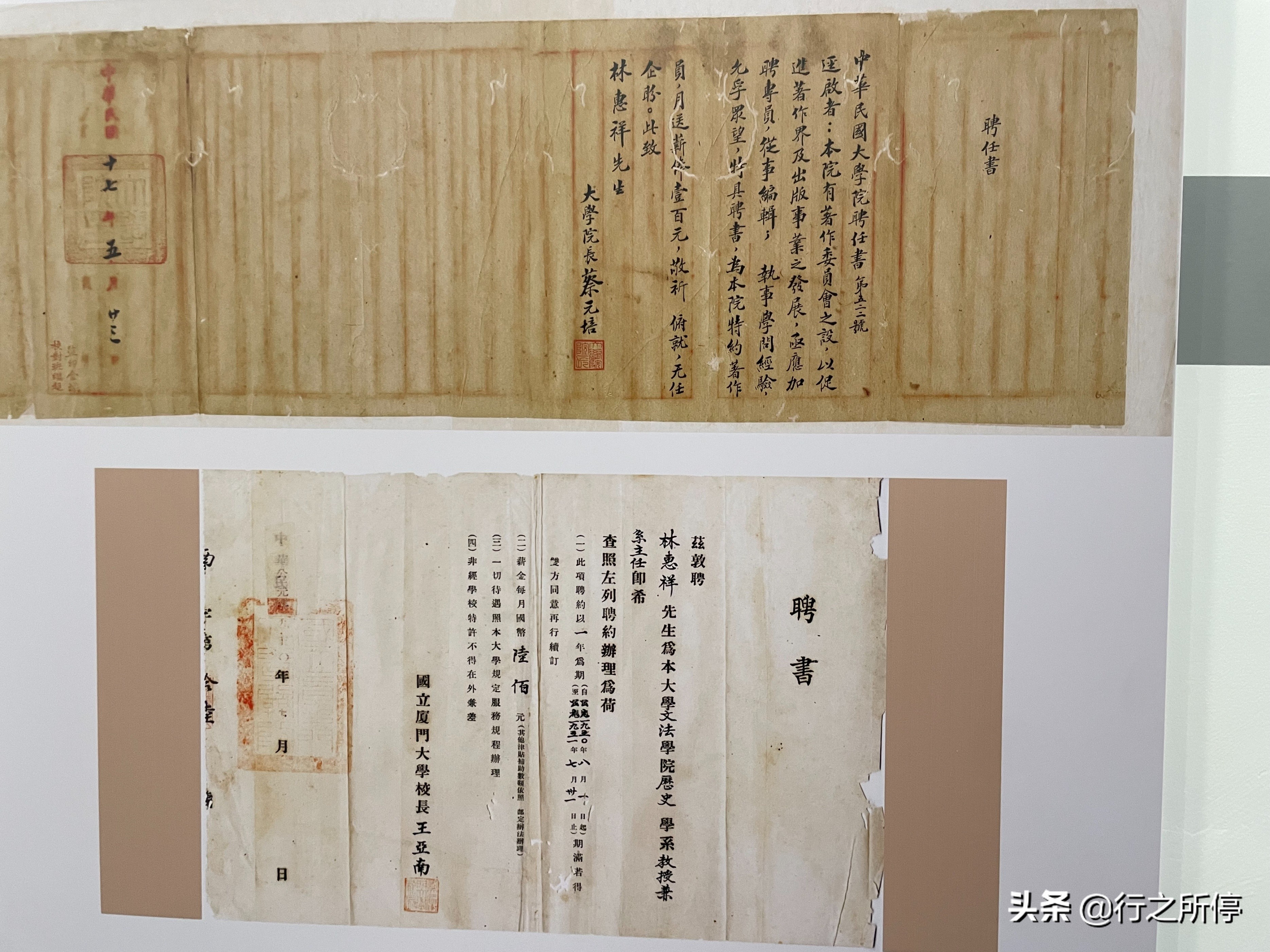 “中国最美大学”厦门大学博物馆开门了？还有惊喜的夜游活动