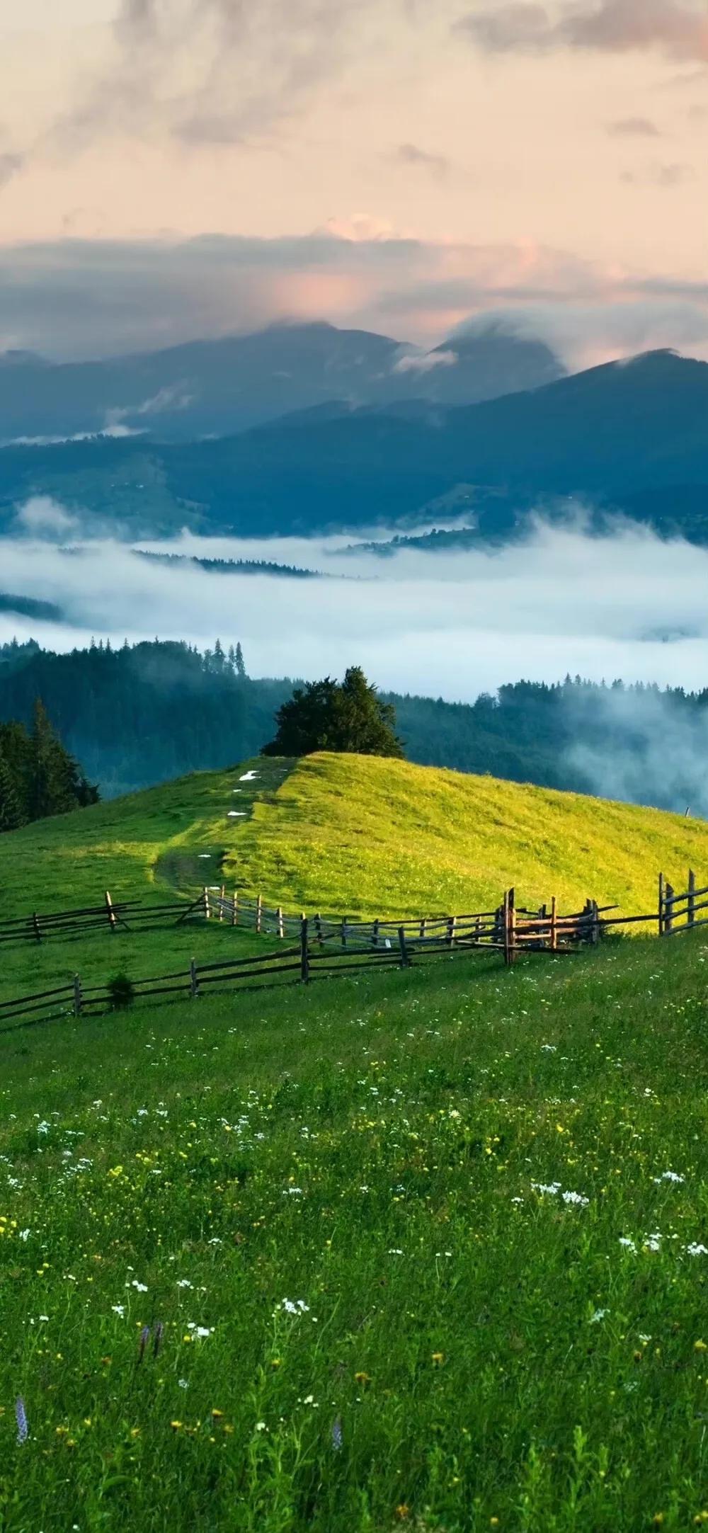 让人一眼就喜欢的风景组图(春天)