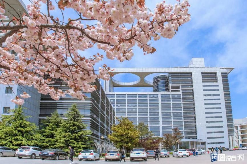 一年超105万人次打卡！山东“宝藏”图书馆：拥有百年藏书，还是影视剧取景地