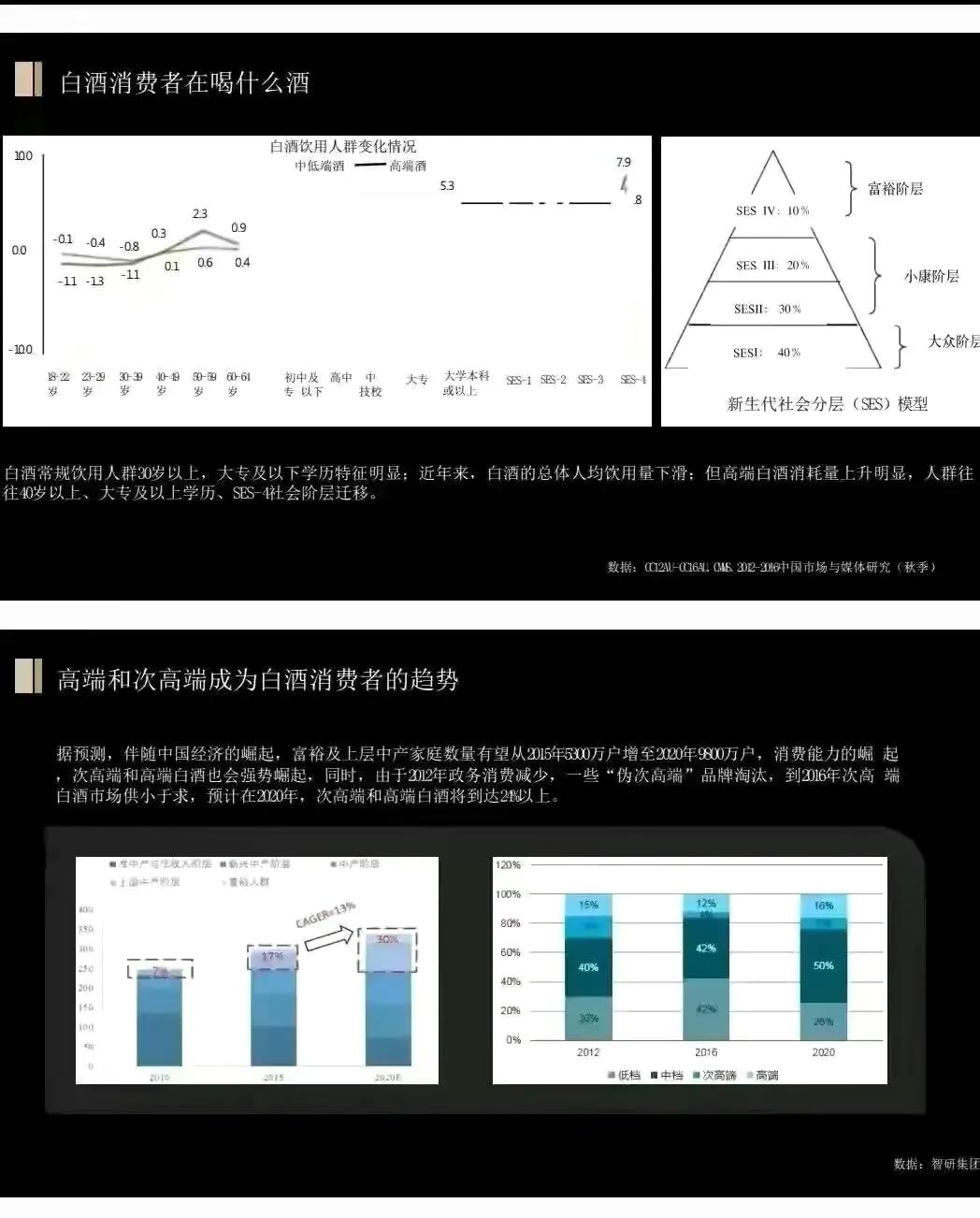 价值1000万的舍得酒业品牌战略规划策划方案（全案154页）