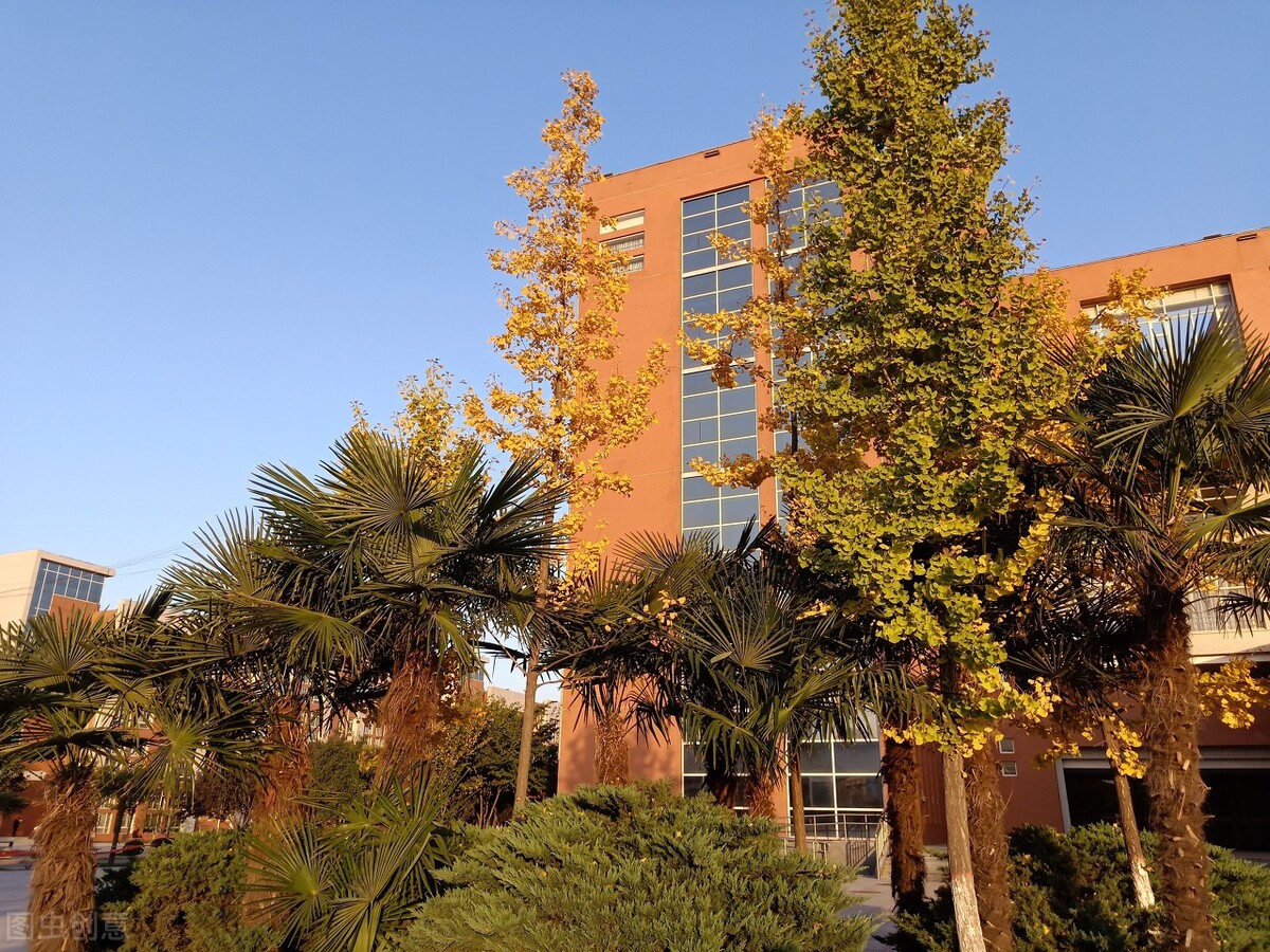 这四所医科大学收分略低，在山西二本分数就能报，性价比高