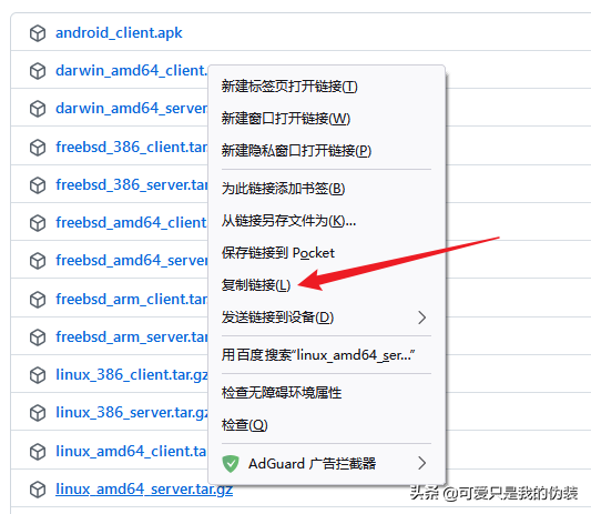 NPS內網穿透
