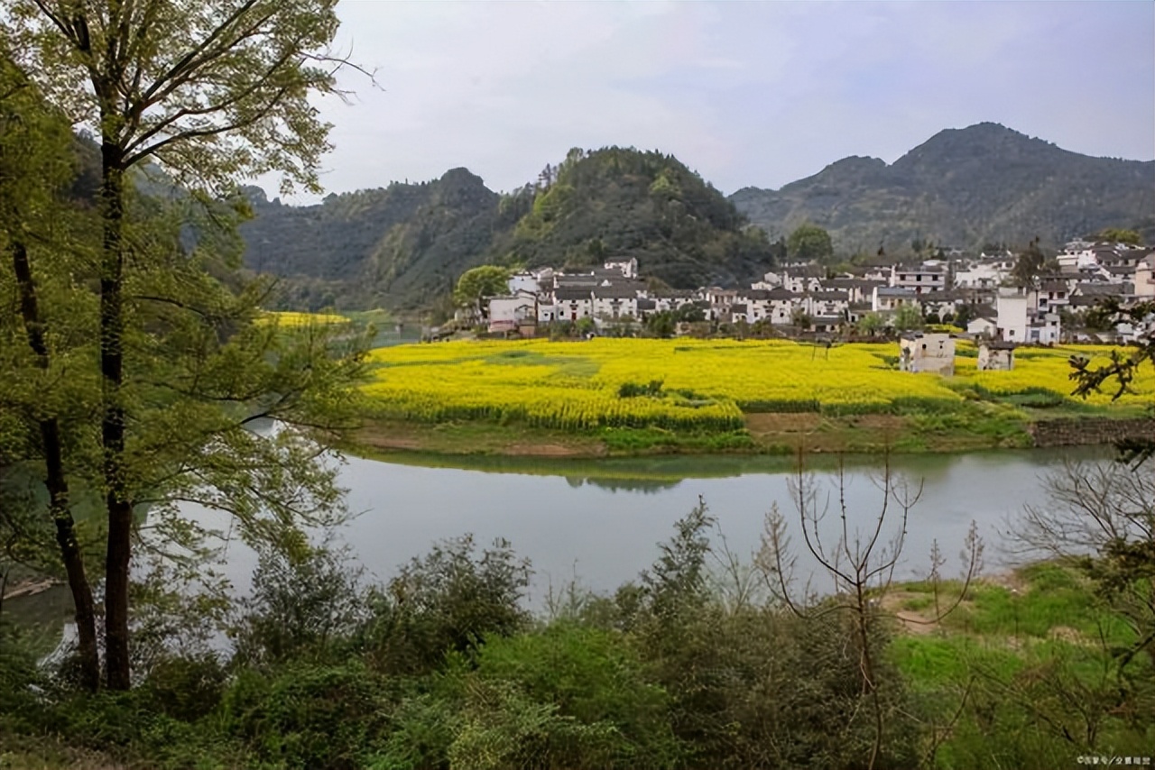 村委班子增设媒体部门，是否有必要？