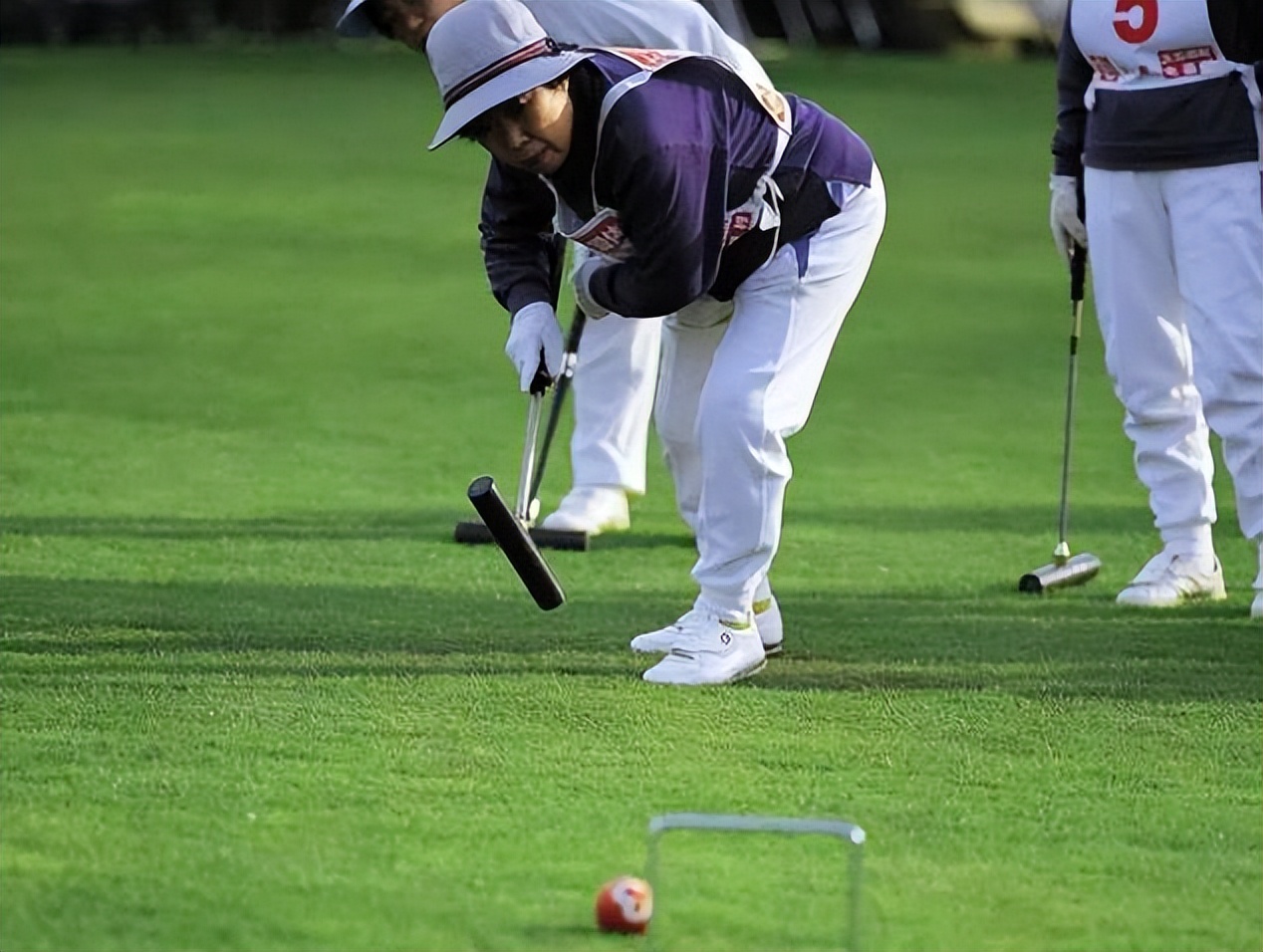 免充砂人造草坪:门球的打法和规则