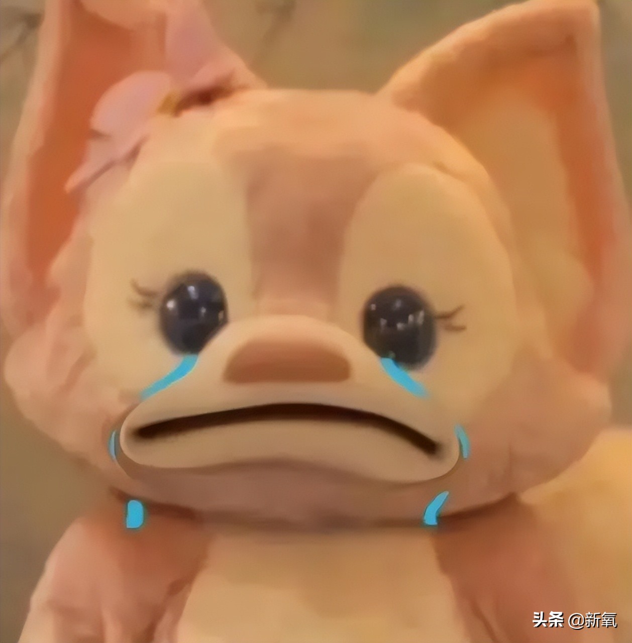 虽然确实靠脸力压过天仙，但这次的造型真是尬穿地心吧…