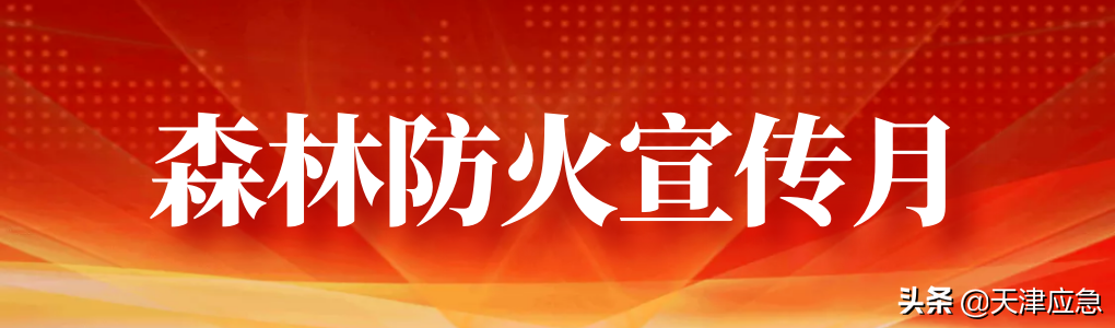 严肃追究领导责任和监管责任
