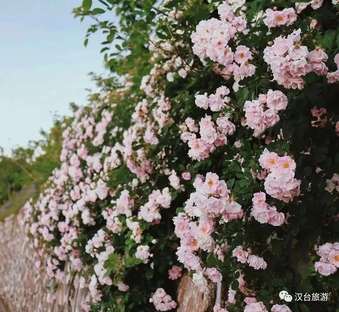 這是什么神仙地方?。繚h中這個(gè)寶藏地出圈又出片！