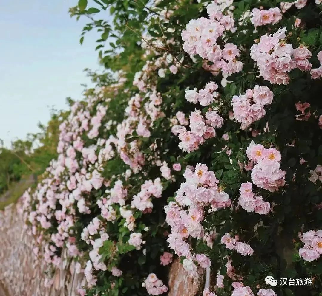 這是什么神仙地方?。繚h中這個寶藏地出圈又出片！