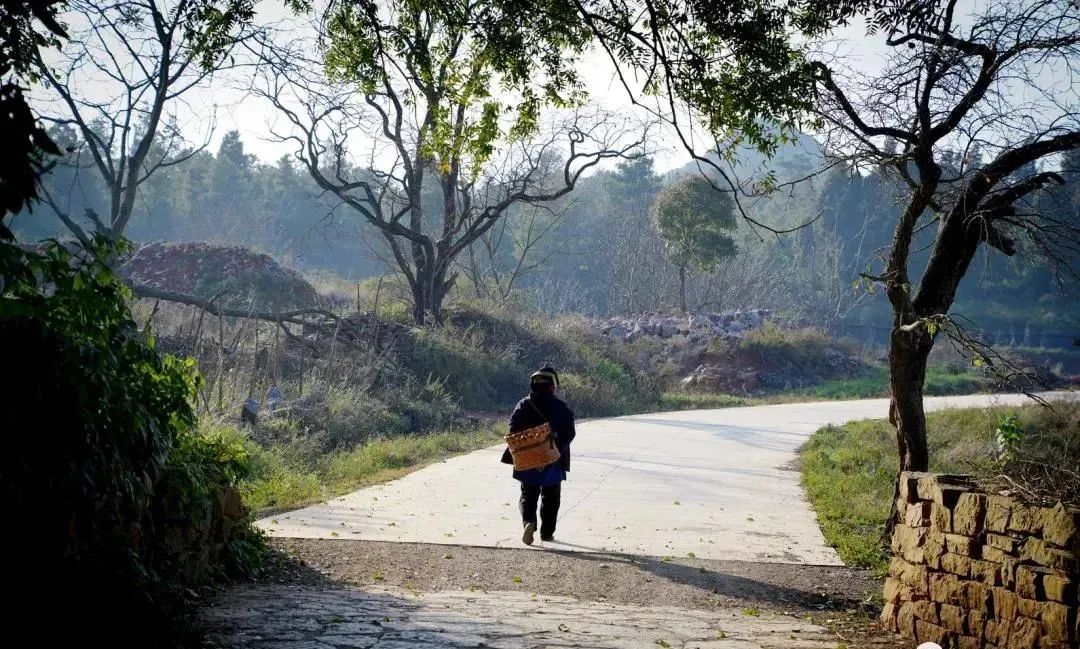 昆明这个古寨，有国内唯一的男人节，还有片神秘树林是女人禁地