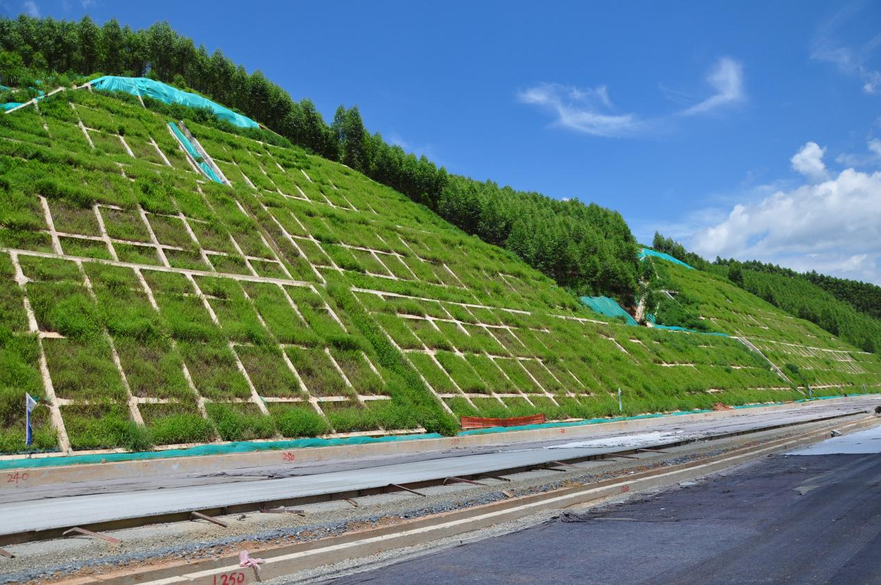 革命老区建设致富路 智慧神器施工显威力