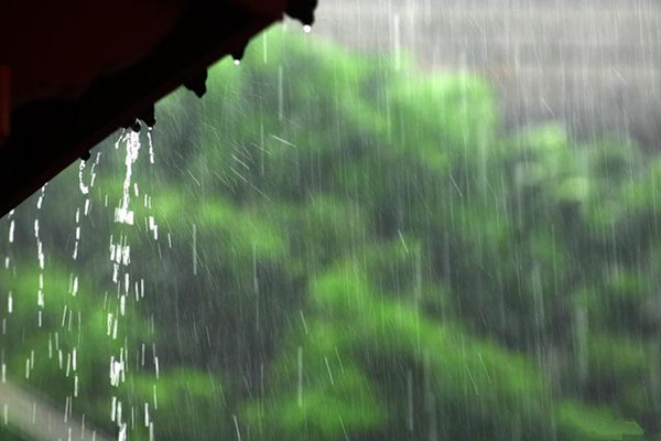 雨夜听雨，静享安然