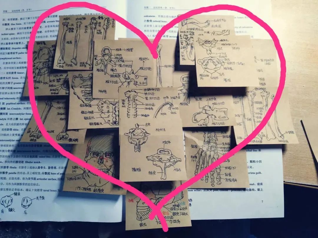 高校学霸笔记大赏！网友：果然是学霸的笔记我看不懂