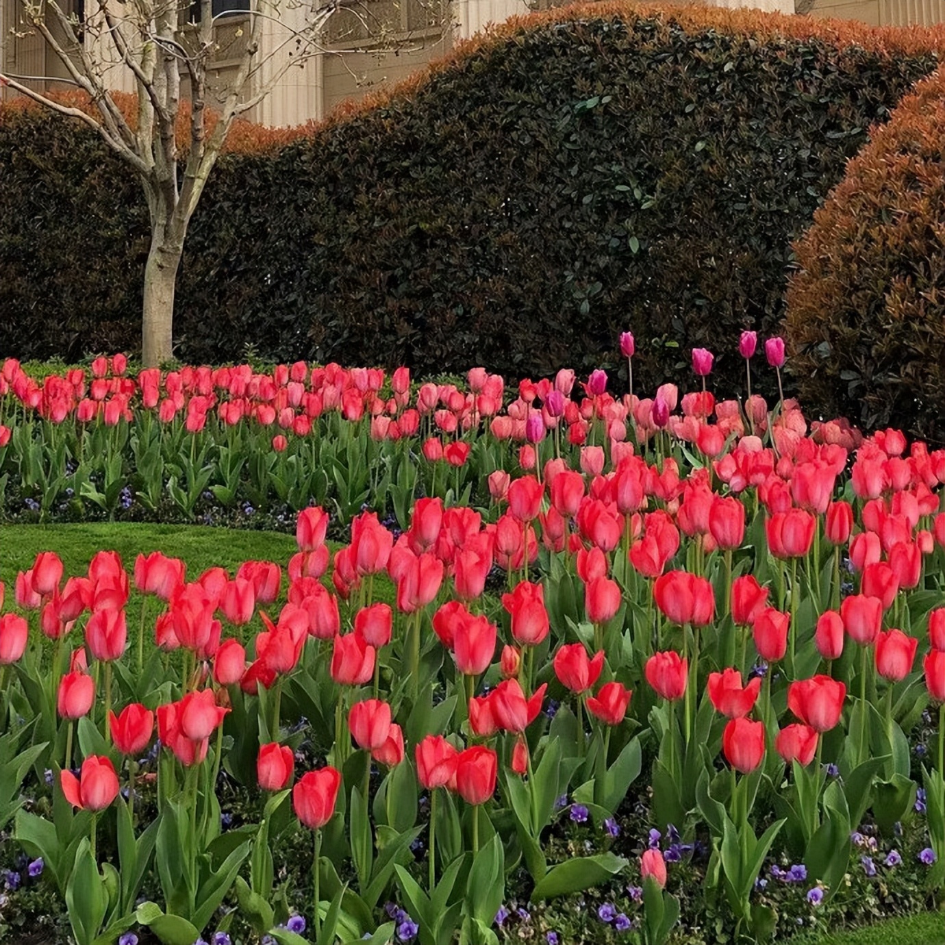 关于藏头诗中‘我喜欢你’怎么说