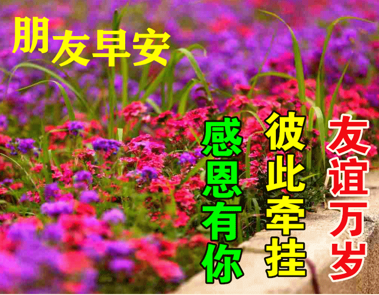 早上好的句子 早安祝福问候带字图图片