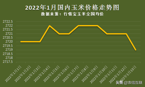 今日玉米行情丨玉米价格上涨，官方为何唱衰？一月份还能涨吗？