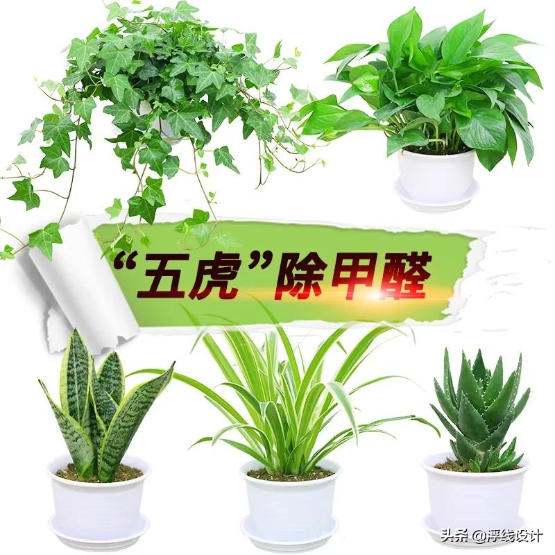 房子装好后多久才能住？有哪些方法可以除甲醛？