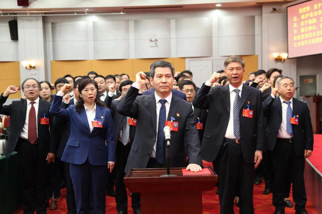南阳两区选举产生区长、副区长、法院院长等领导干部