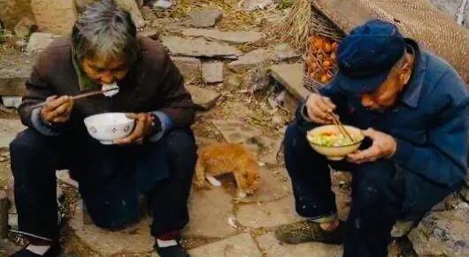 七绝《父母情》三首