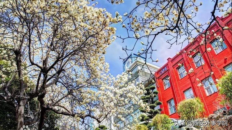 西安外事学院国际合作学院 | 朝鲜（韩国）语系