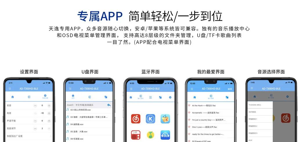 天逸AD-7300前后级套装：私影典范，高端影院定制首选