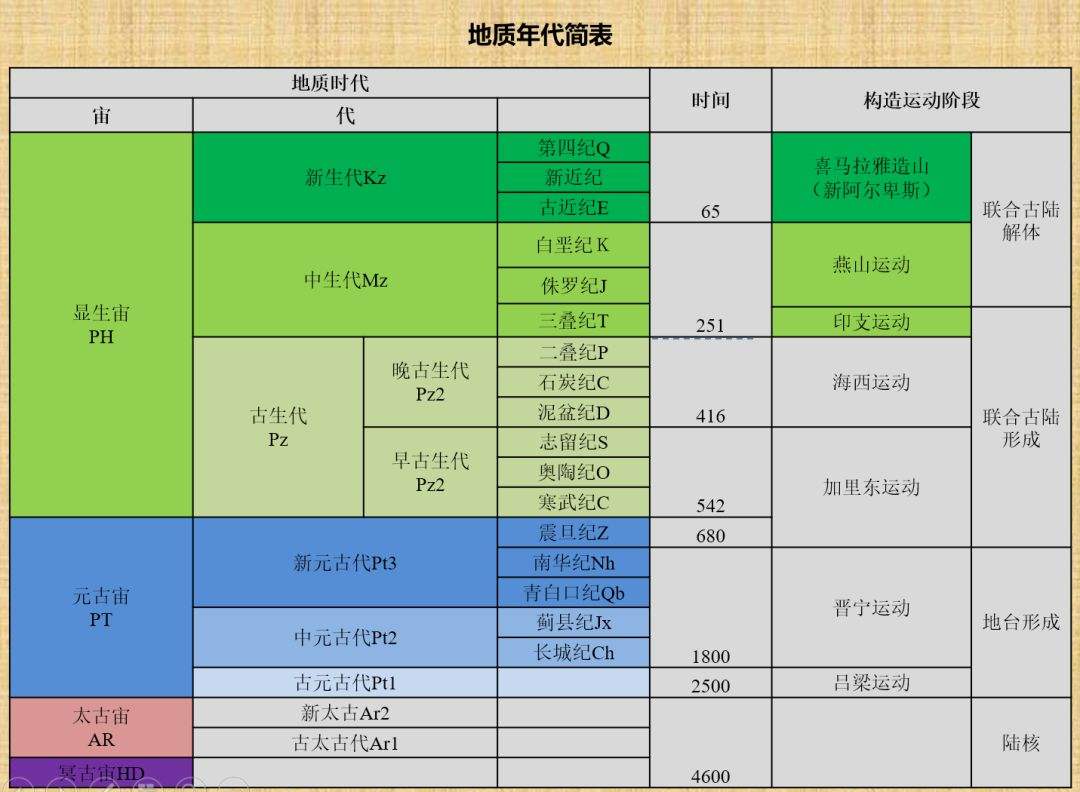 鲨鱼进化悲歌：被其他霸主欺负亿万年的感觉，人类不会懂