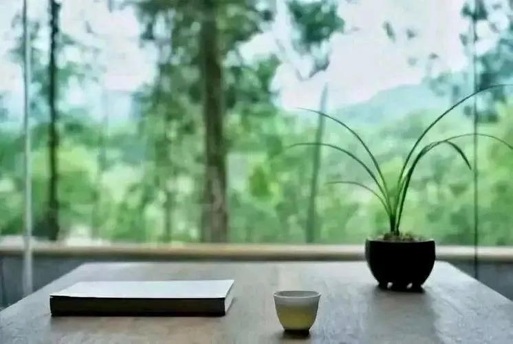 养生贵养心，养老钱先行。反之，何谈优雅的老去