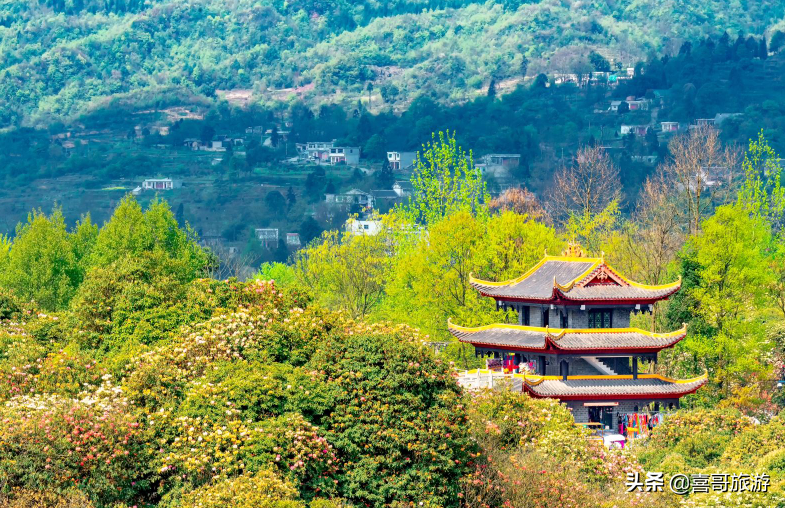 贵州毕节黔西市十大景区有哪些？自驾游如何安排行程？