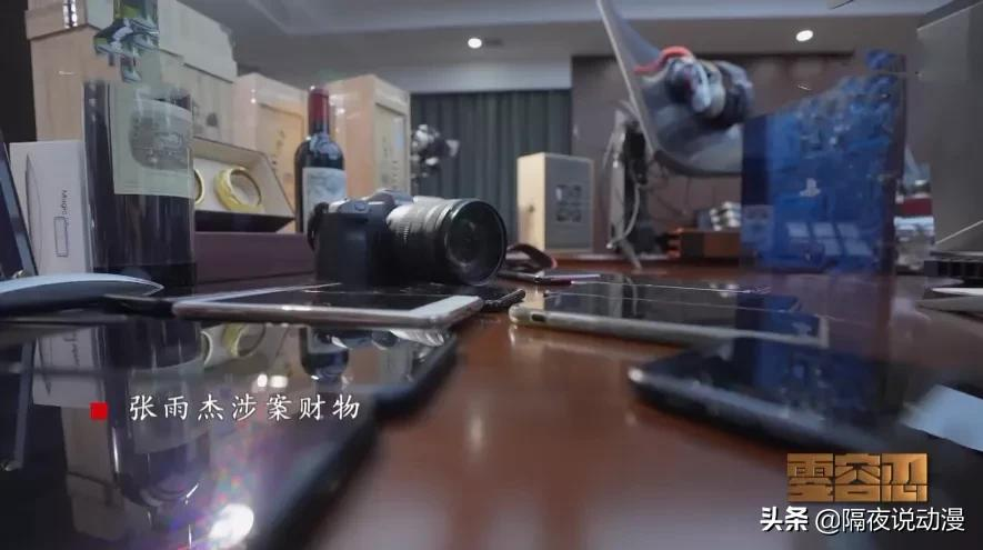 “8700万青眼白龙”上央视!一名二次元宅,如何因贪欲走向堕落?