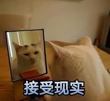 真的有春药吗？下“春药”是坏！信春药是蠢