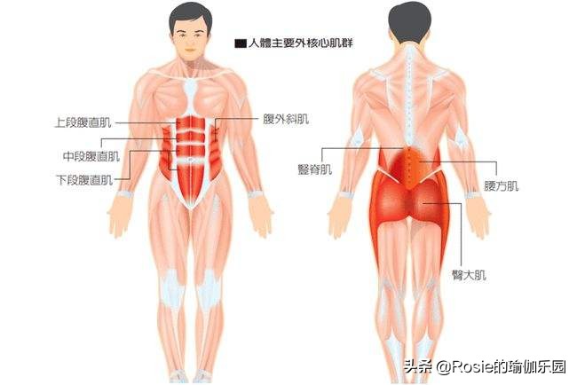 邓家佳长腿细腰性感迷人，如何抹平突出小腹，解锁同款S曲线？