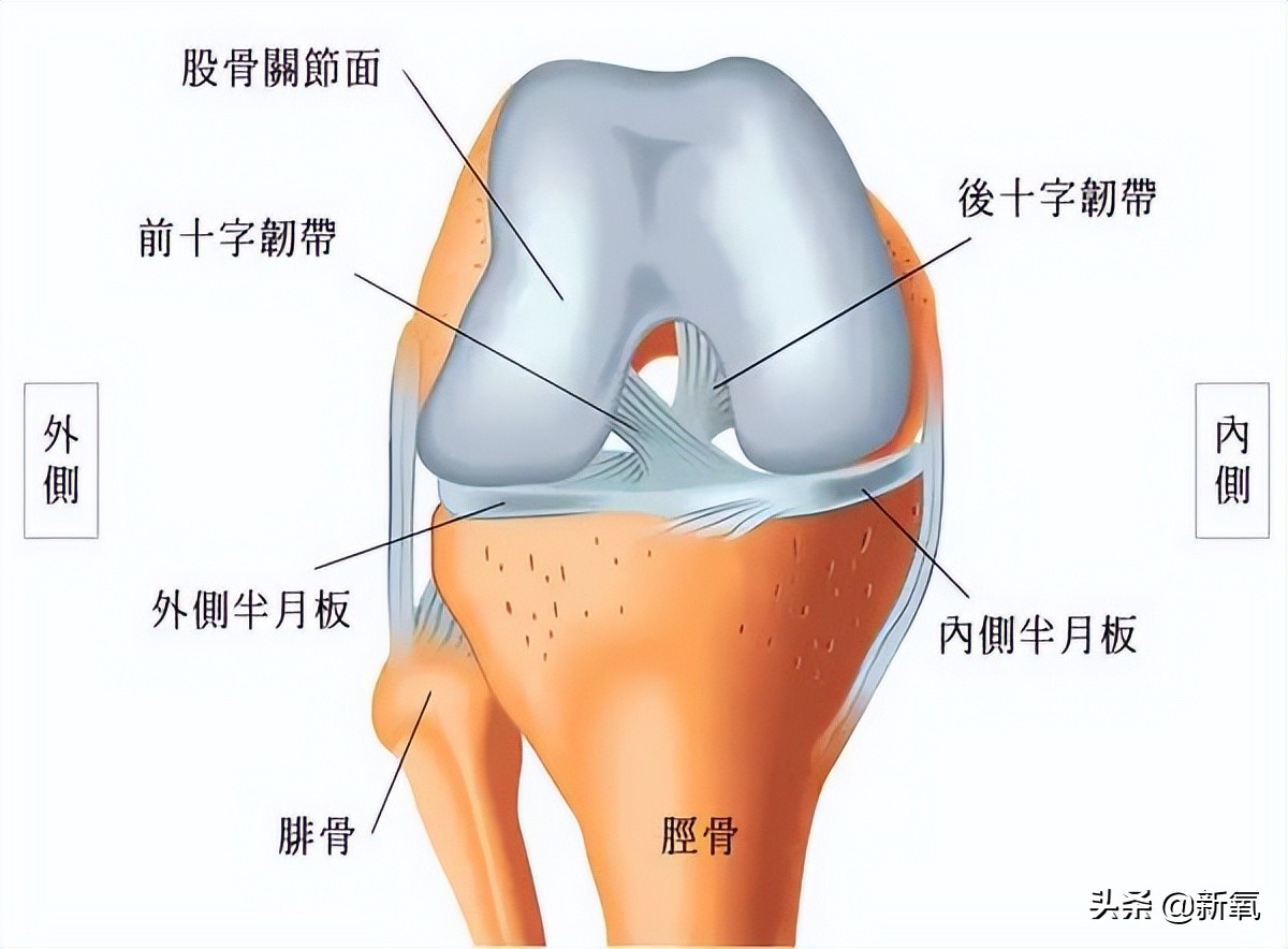 腿长营销翻车我知道，但说她九头身痛失两头真的太好笑了