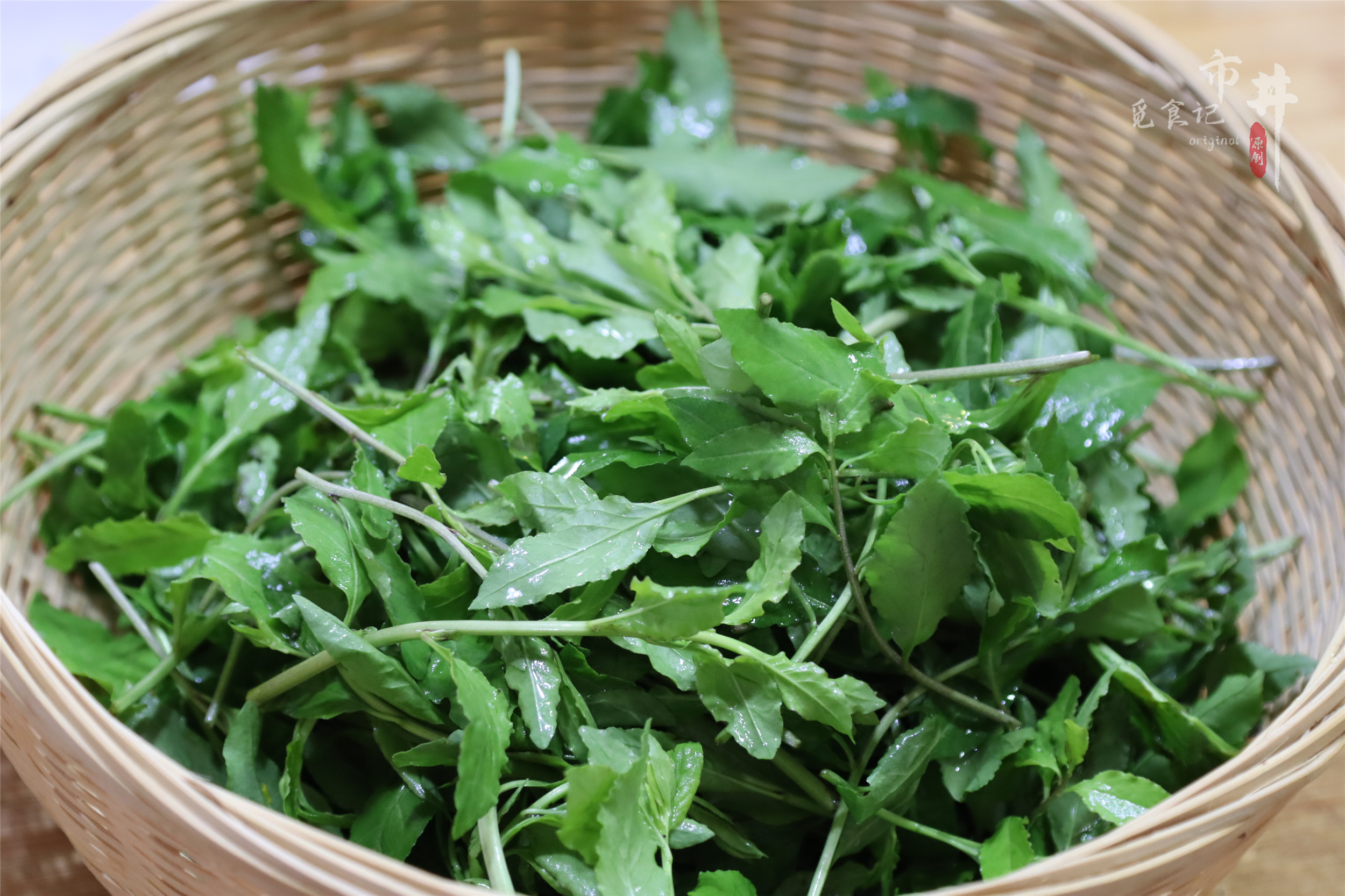 春天,吃香椿吃榆钱,别忘了吃"枸杞芽",很多人不知道有啥用