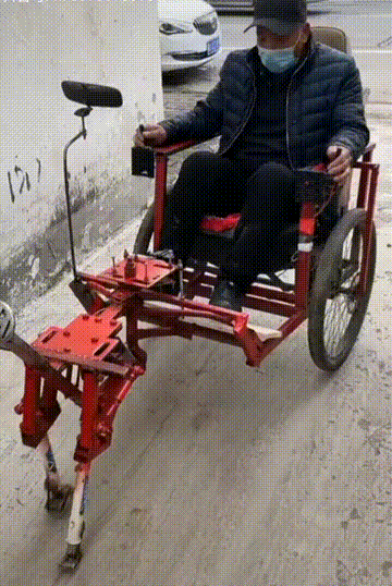 美人鱼上岸了图片