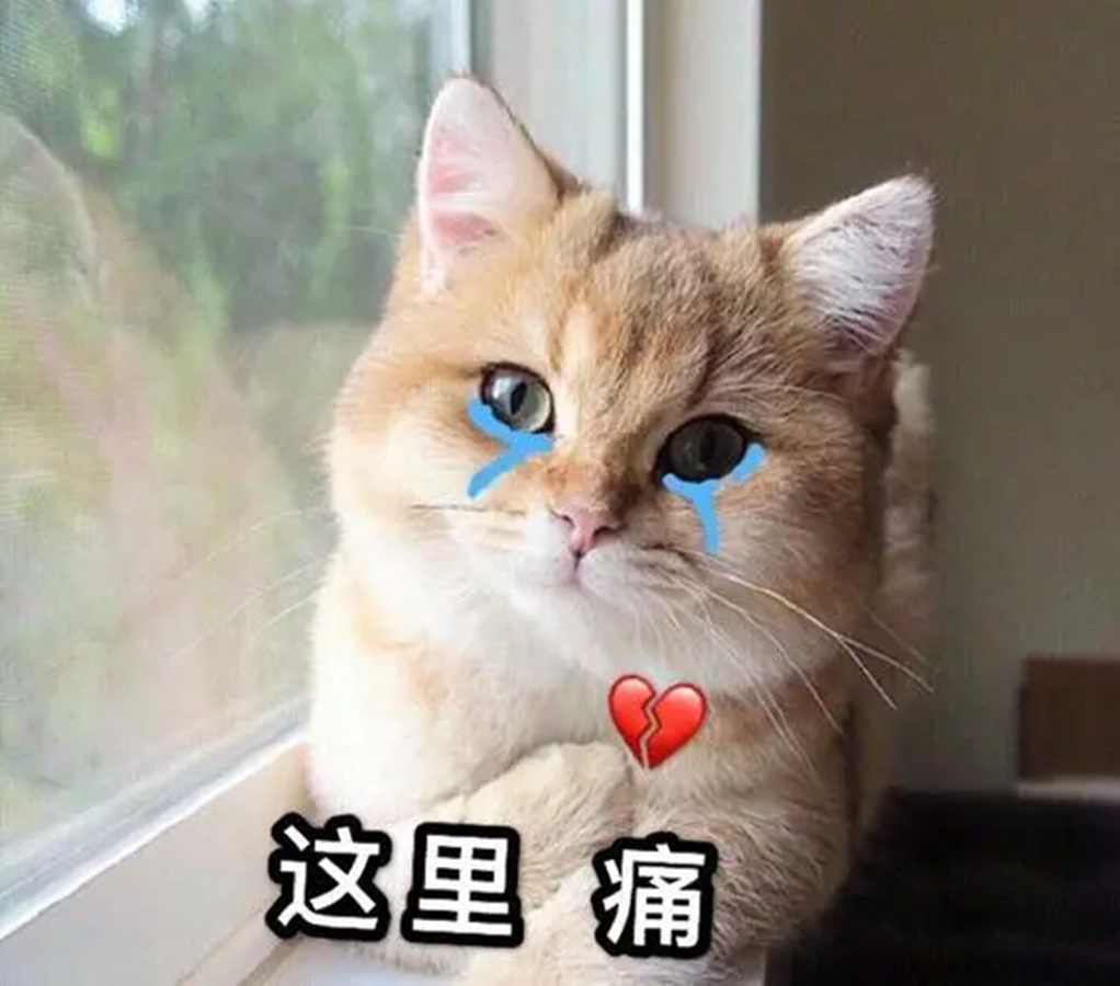 角色设定平平无奇，演员却个个长相惊艳，你管这叫“路人脸”？