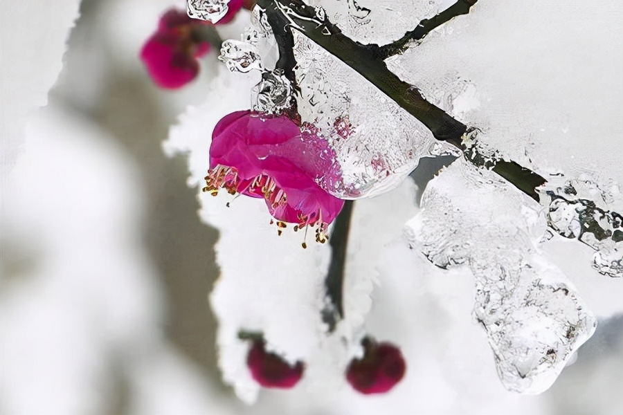 成年人最顶级的自律：拒绝诱惑