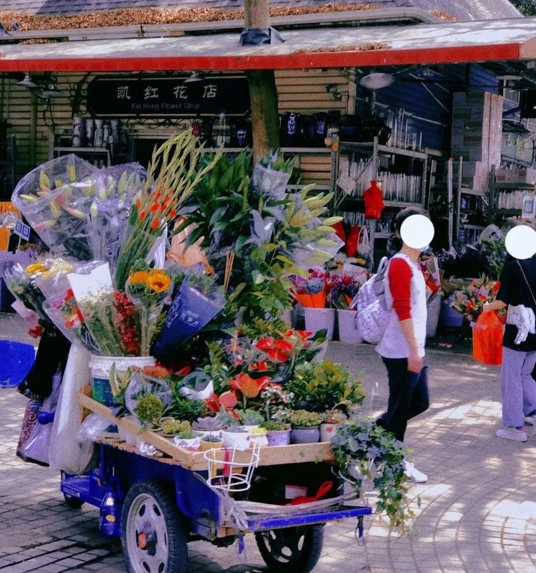 误入仙境！深圳这个神仙花卉小镇，10块钱收获一整个春天的快乐