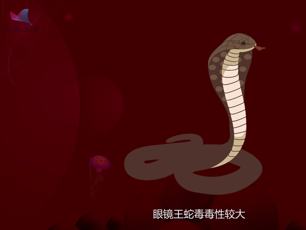 中国第一最毒的蛇（被称我国陆地第一毒蛇的原因）