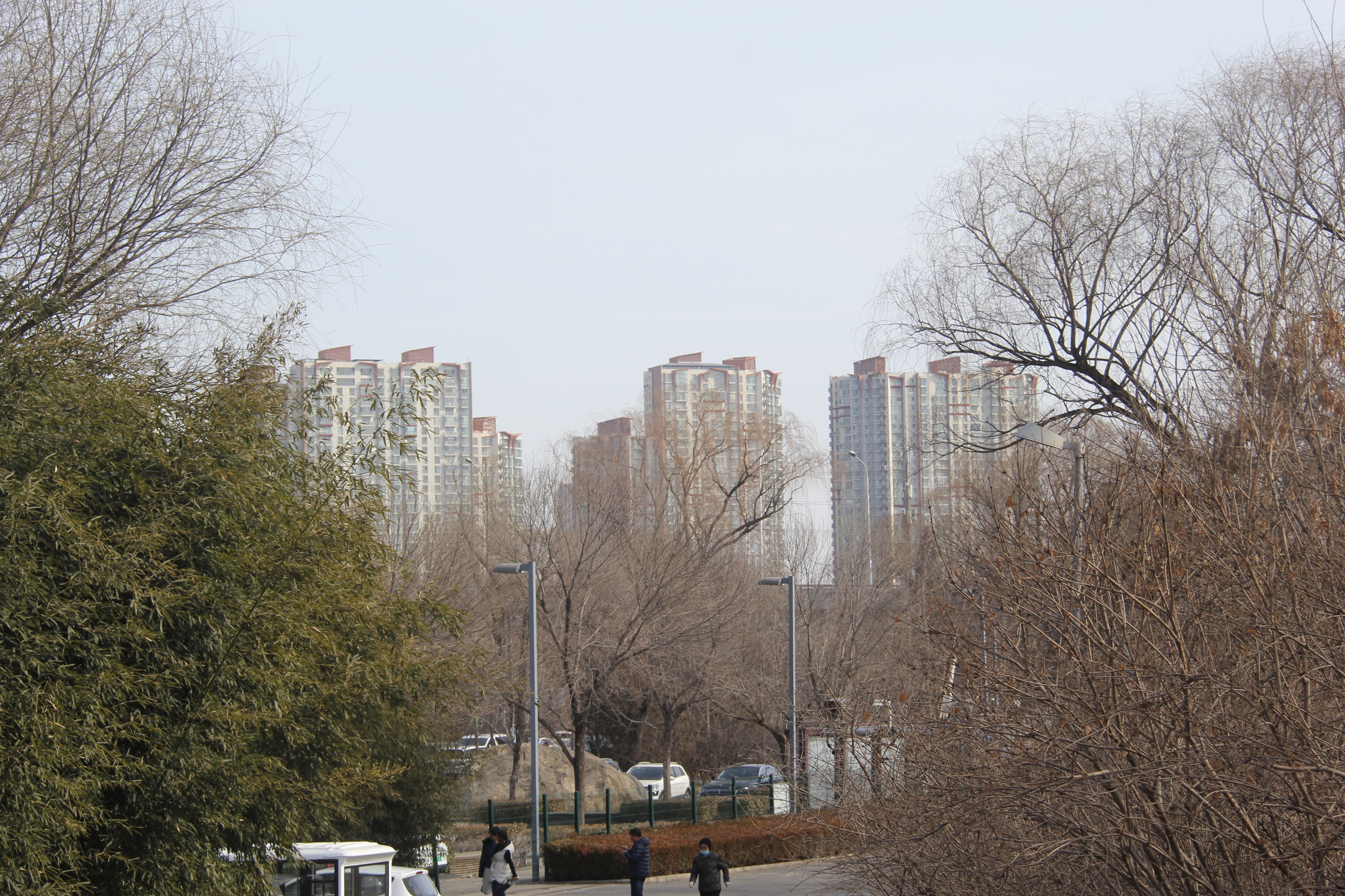 春日奥森公园（摄影）北京 张新贵