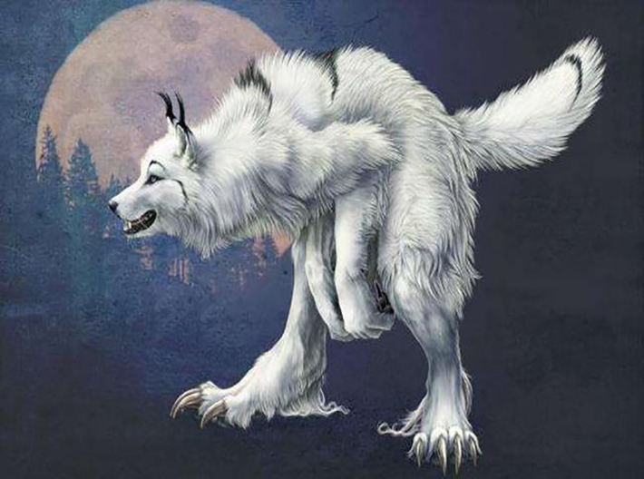 狈的图片(狈的图片大全 真实) - 泉兴百科