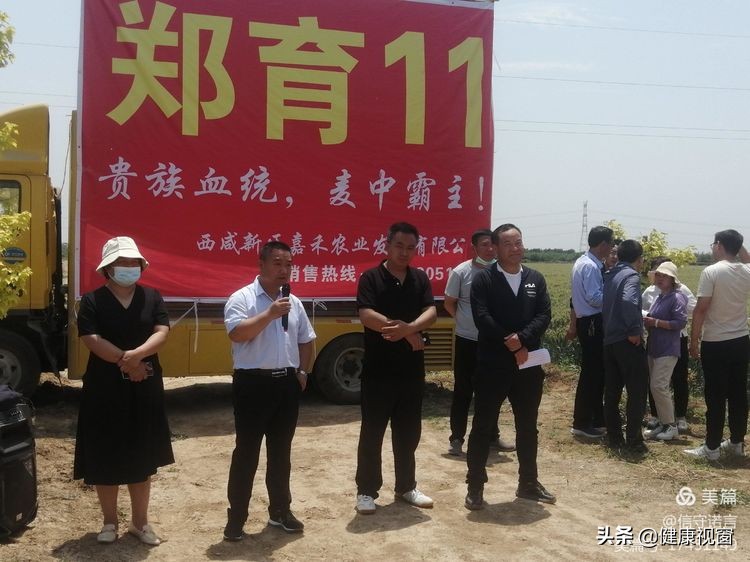 咸阳市礼泉县召开2022年夏粮生产暨小麦新品种观摩会