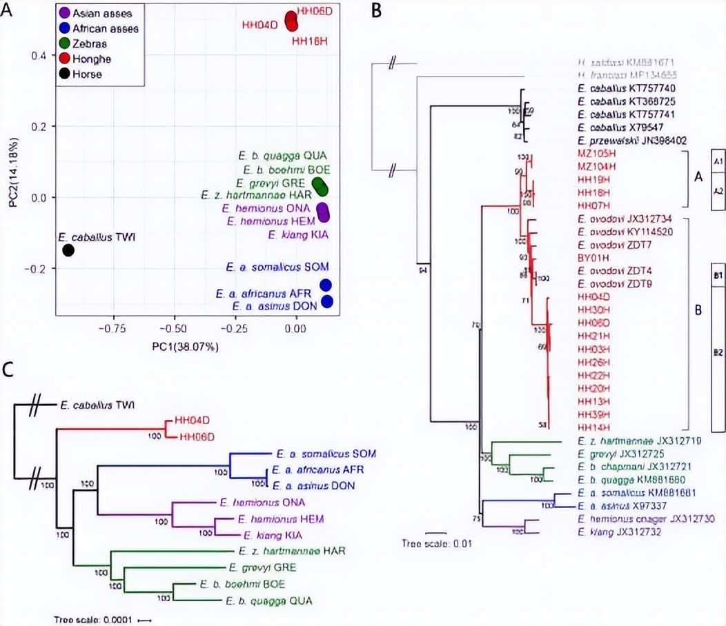 国际首次！吉林大学在顶刊公开发表“硬核成果”，引发国际关注！