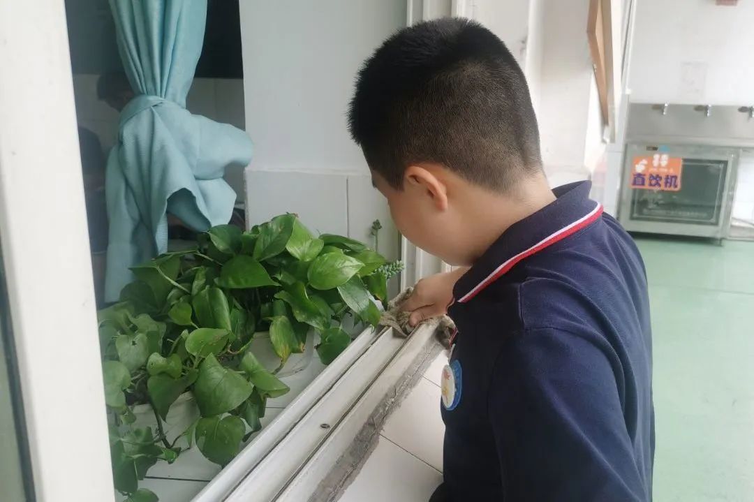 劳动的美丽 青春的风采｜双流区公兴小学开展劳动主题系列活动