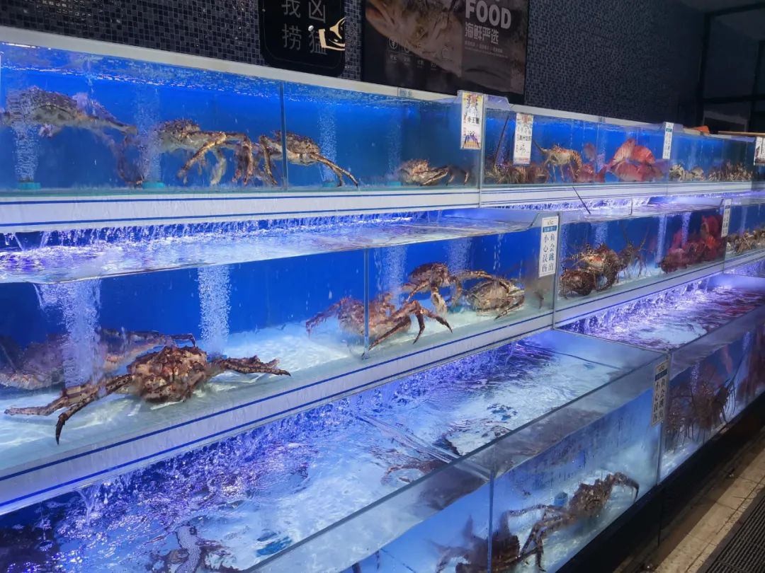 һ����̽���������̳�������������Ӫ��Ӫ+�ֳ�