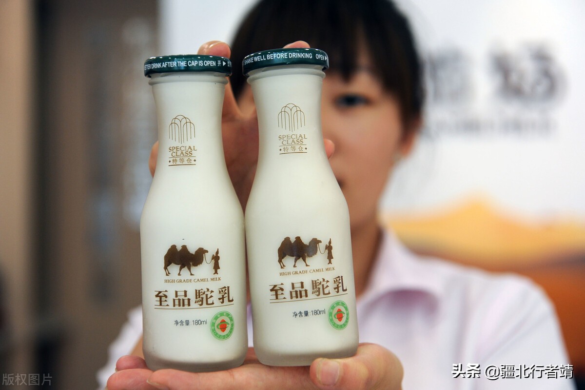 新疆特产，“沙漠之舟”骆驼的黑知识
